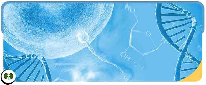 Male Infertility Specialist Near Me in Smithfield, NC Male Infertility Specialist Near Me in Smithfield, NC