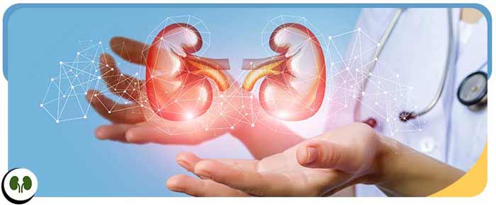 Kidney Stones Removal Treatment Near Me in Smithfield, NC Kidney Stones Removal Treatment Near Me in Smithfield, NC