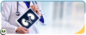 Kidney Cancer Medical and Surgical Treatments in Smithfield NC Kidney Cancer Medical and Surgical Treatments in Smithfield NC