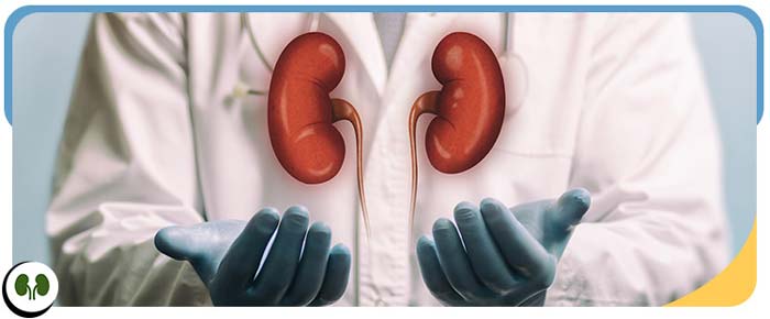 What Does a Urologist Do Near Me in Smithfield, NC What Does a Urologist Do Near Me in Smithfield, NC