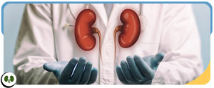 What Does a Urologist Do Near Me in Smithfield, NC What Does a Urologist Do Near Me in Smithfield, NC