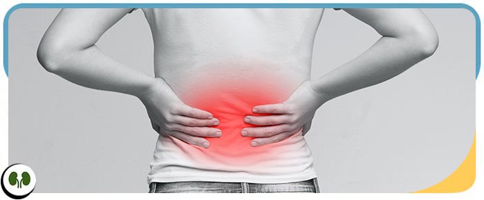 Kidney Stone Removal Without Surgery Near Me in Smithfield NC Kidney Stone Removal Without Surgery Near Me in Smithfield NC
