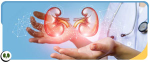 Kidney Stones Removal Treatment Near Me in Smithfield, NC 